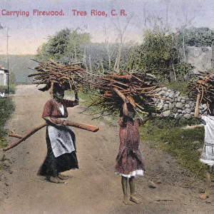 Carrying Firewood at Tres Rios, Costa Rica
