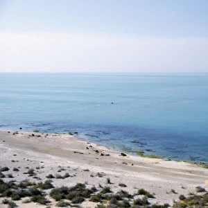 Caspian Sea Shore - near Krasnovodsk - a view
