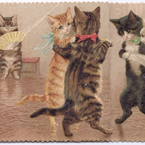 Cats dancing on a greetings card