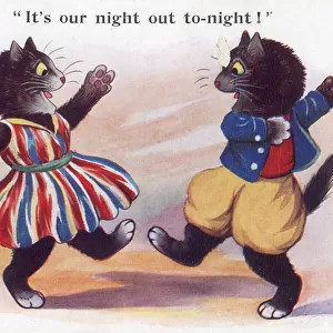 Two cats dancing the night away