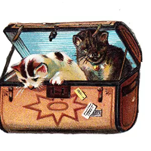 Two cats in a suitcase on a Victorian scrap