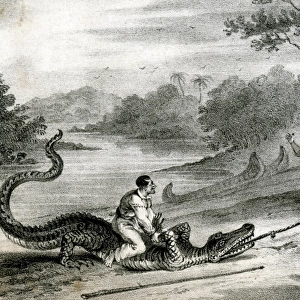 Charles Waterton, crocodile wrestling