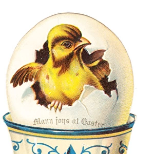 Chick in an eggcup on a cutout Easter card