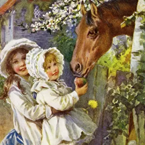 Child feeding a pony