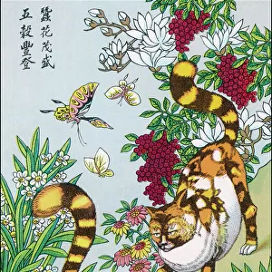 Chinese Cats / Silkworms