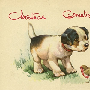 Christmas card, dog and robin