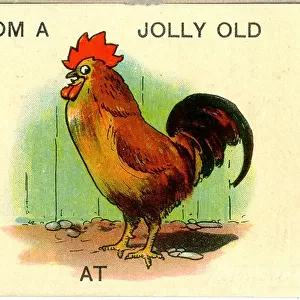 Comic postcard, From a jolly old cock Date: 20th century