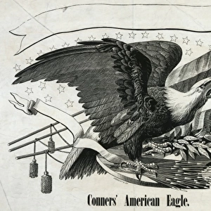 Conners American eagle