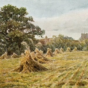 Countryside Field 1906
