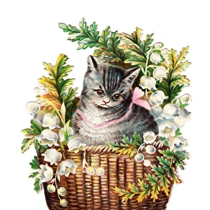 Cute tabby cat in a basket of flowers on a Victorian scrap