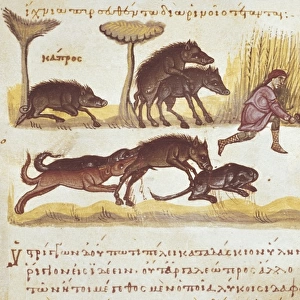 Cynegetica: treatise on hunting and fishing by Oppianus