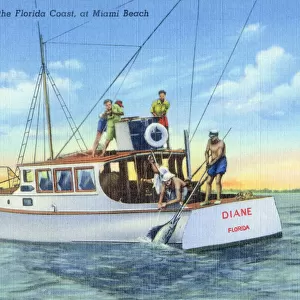 Deep sea fishing (capturing a blue marlin) off Miami
