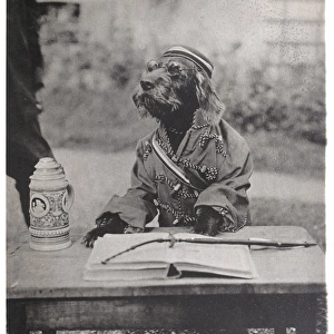 Dog Dressed as Student