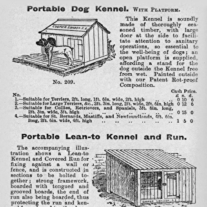 Dog kennels