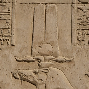 Egyptian Art. Temple of Kom Ombo. The god Sobek wearing shut