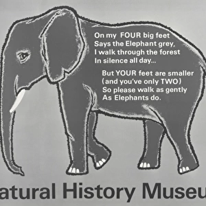 Elephant; Walk Quietly