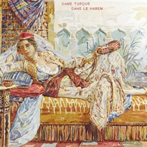 Exotic Turkish Woman of the Harem