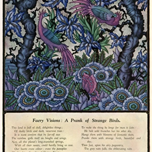 Faery Visions - a Prank of Strange Birds