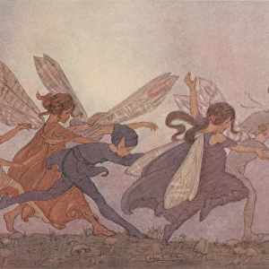 Fairies by Hilda Miller