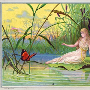 Fairy watching a butterfly on a greetings card