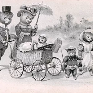 Family of cats with a pram on a postcard