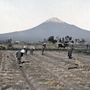 Farmers at the foot of Mount Fuji, Japan, circa 1880s