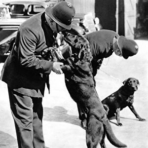 First Metropolitan Police-Dogs