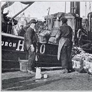 Fishermen unloading their catch during the herring harvest, October and November