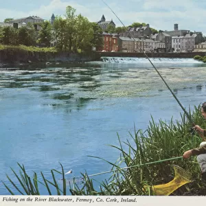Fishing on the river Blackwater, Fermoy, County Cork