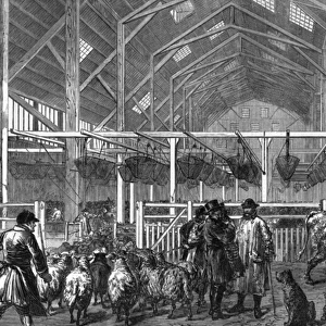 The Foreign Cattle Market, Deptford, London, 1872