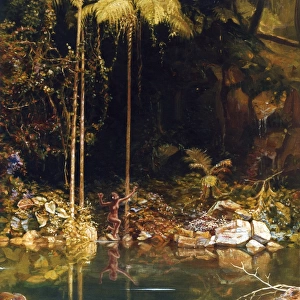 Forest Mirror, Queensland, Charles E Gordon Frazer