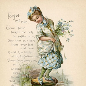 Forget Me Not / Language of Flowers