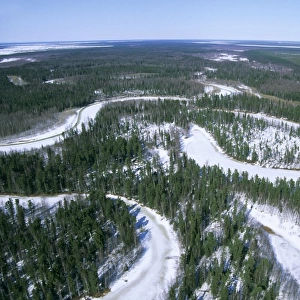 Frozen river meanders in Taiga-forest, a tributary