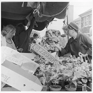 Fruit and vegetable stall, Brynmawr, Wales