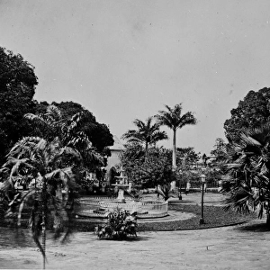 Gardens at Bahia, Brazil, South America 1873
