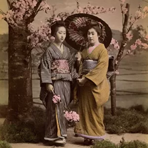 Two geishas and a parasol