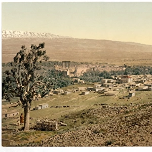 General view, Baalbek, Holy Land, (i. e. Balabakk, Lebanon)