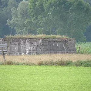 German bunker, Oosttaverne Wood, Oostaverne