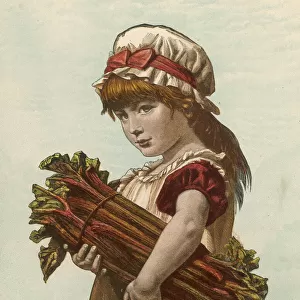Girl with Rhubarb C1880
