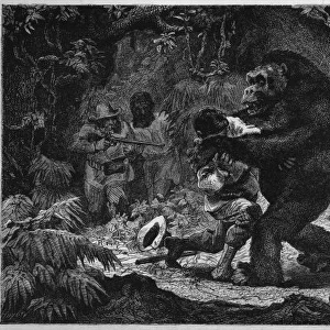 Gorilla and Victim