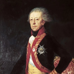 GOYA Y LUCIENTES, Francisco de (1746-1828). Antonio