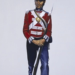 Guardsman (Private) - The Coldstream Guards