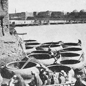 Gufas and bellums on the Tigris