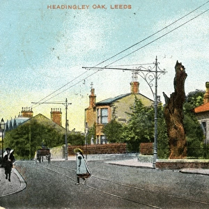 The Headingley Oak, Headingley, Yorkshire