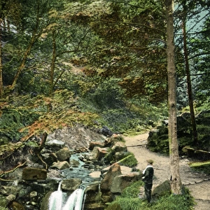 Hebers Ghyll, Ilkley, Yorkshire
