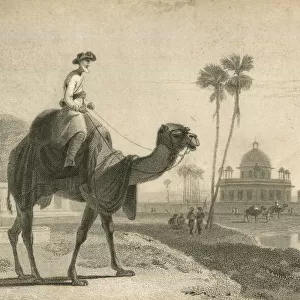 The Hirkarrah Camel by William Daniell