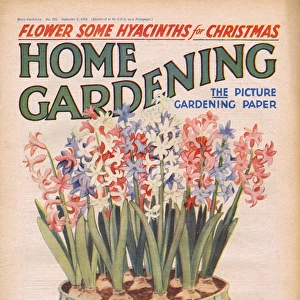 Home Gardening magazine, September 1932