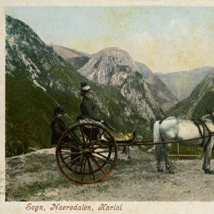 Horse-drawn carriage, Naerodalen, Sogn, Norway
