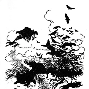 Illustration, The Wren and the Bear