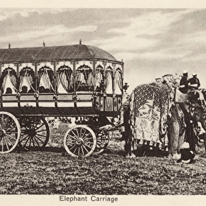 Indian Elephant Carriage - India